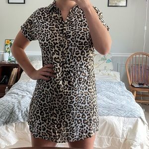 Leopard Print Collared Dress